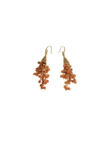 OR 207 ORANGE
